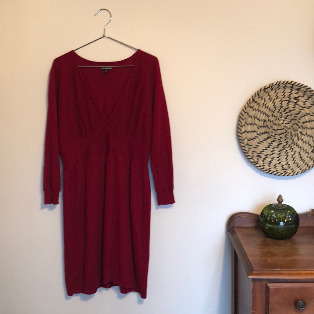 Express Sweater Dress